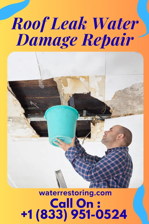Roof Leak Water Damage Repair in Sherrard, IL