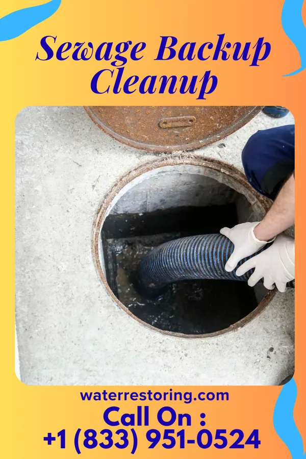Sewage Backup Cleanup in Sherrard, IL