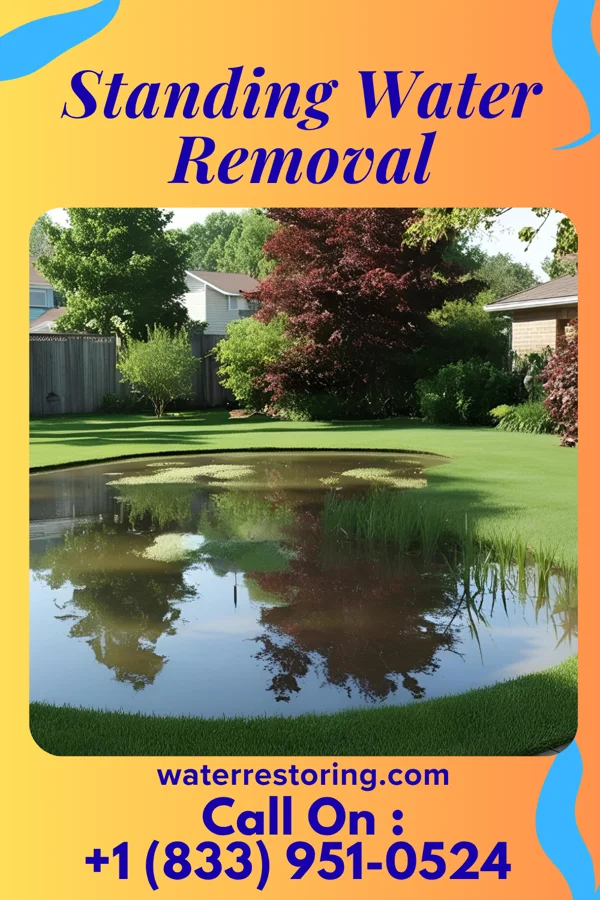 Standing Water Removal in Sherrard, IL